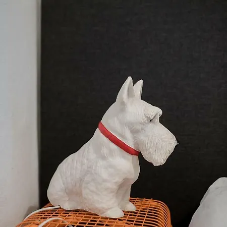 アパート Baixa24 •p2l• T1 No Centro Historico ポルト