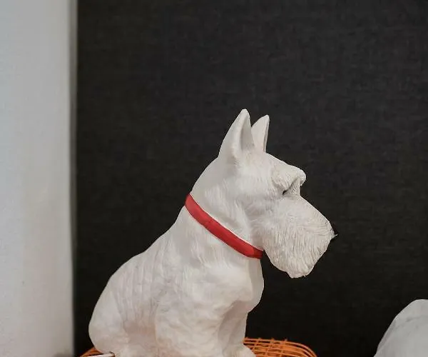 Lägenhet Baixa24 •p2l• T1 No Centro Historico Oporto